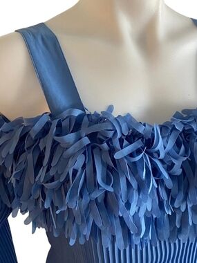 Kaeylyn Max II Off-Shoulder Fringe Detail Sheer Top (Blue)